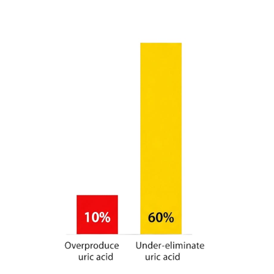 Chart comparing 10% of people who overproduce uric acid with 60% who under-eliminate it