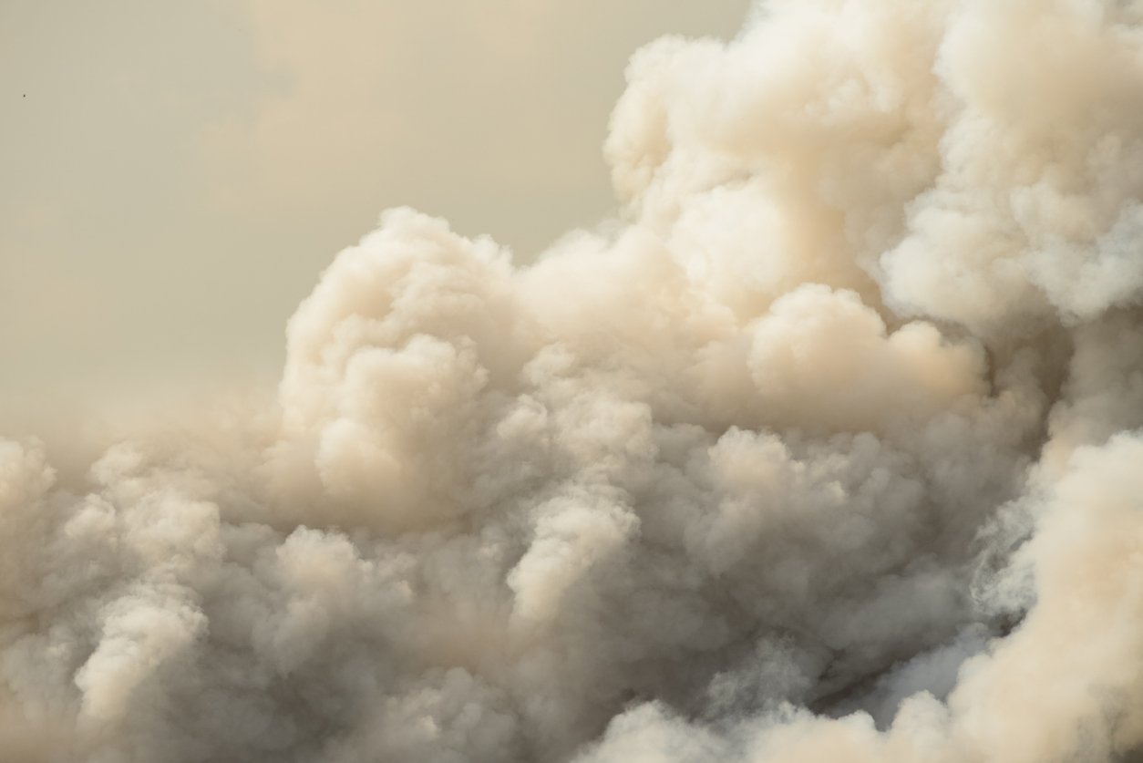 What Wildfire Smoke Actually Does to Healthy Lungs