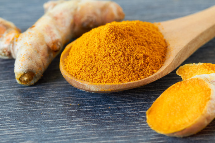 Turmeric – Rooted in Tradition and Growing in Popularity