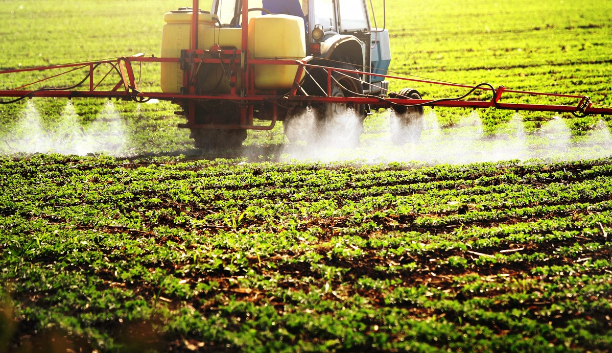 Purity Matters: Testing for 779 Pesticides