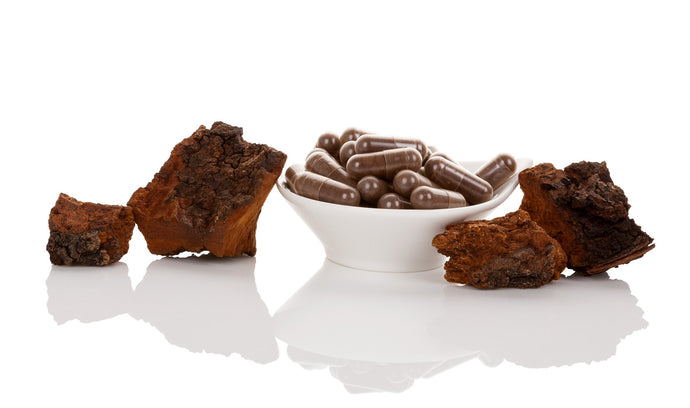 Chaga Delivers Immune Support Benefits