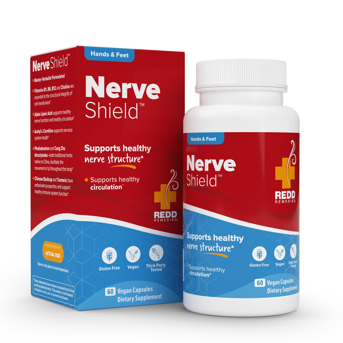 acetyl l carnitine myelin sheath Nerve Health Support Supplement Species Rat