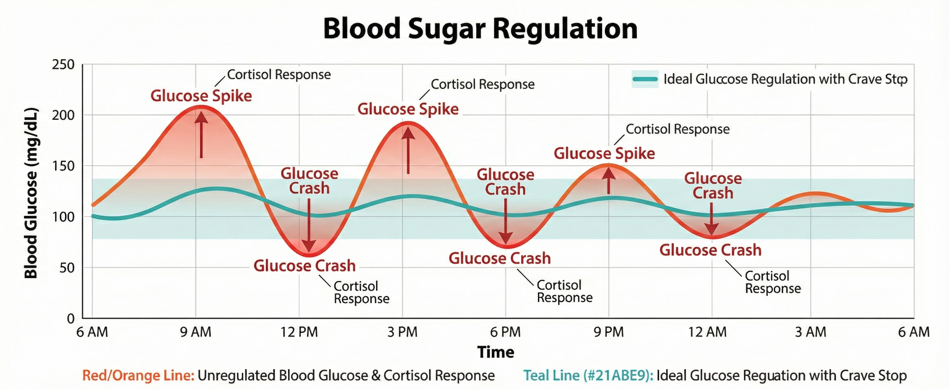Blood Sugar Regulation Chart