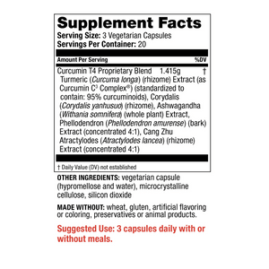 Curcumin T4™ Capsules