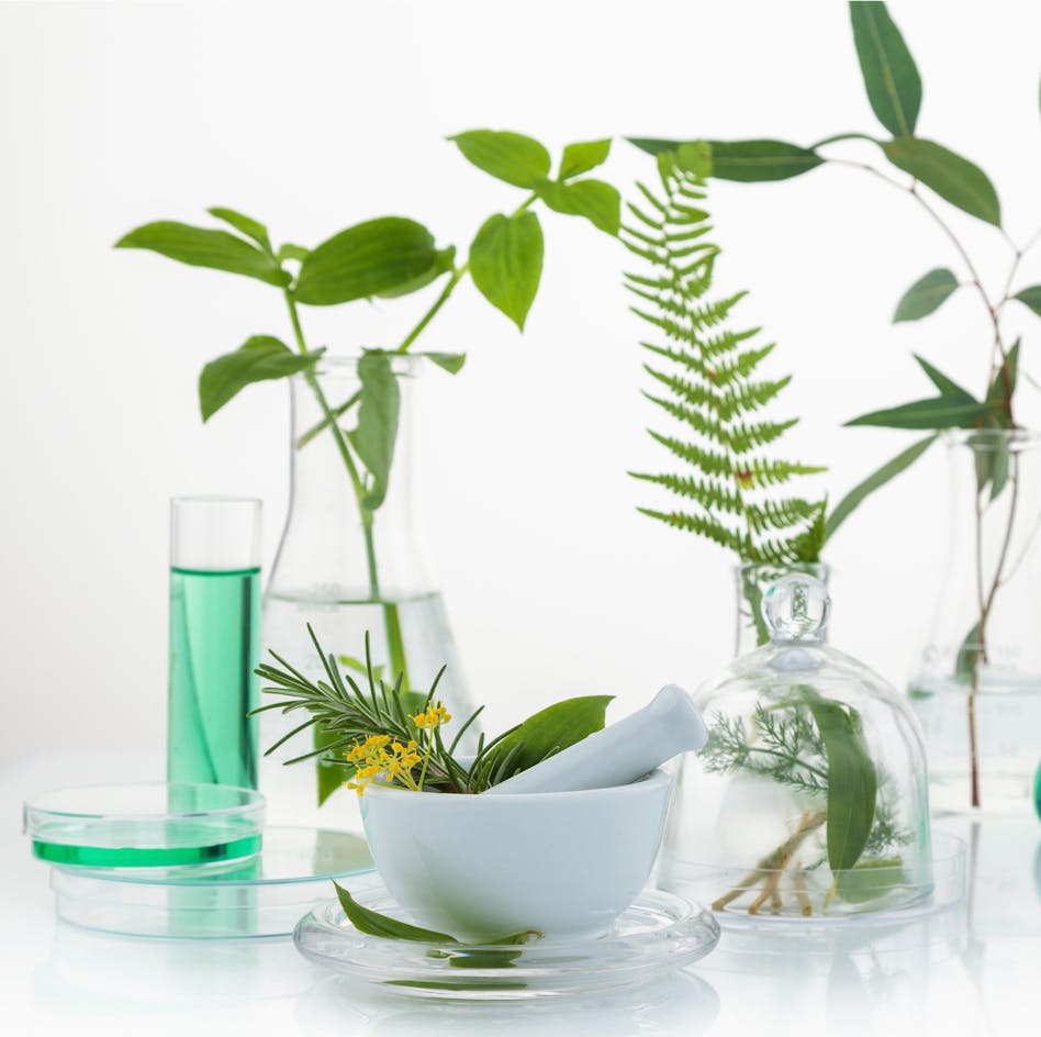 Traditional herbs and botanicals