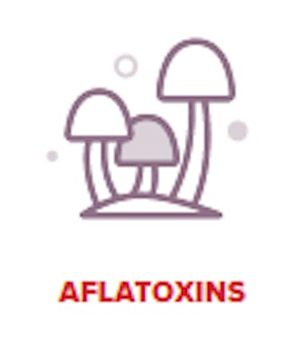 Free of aflatoxins