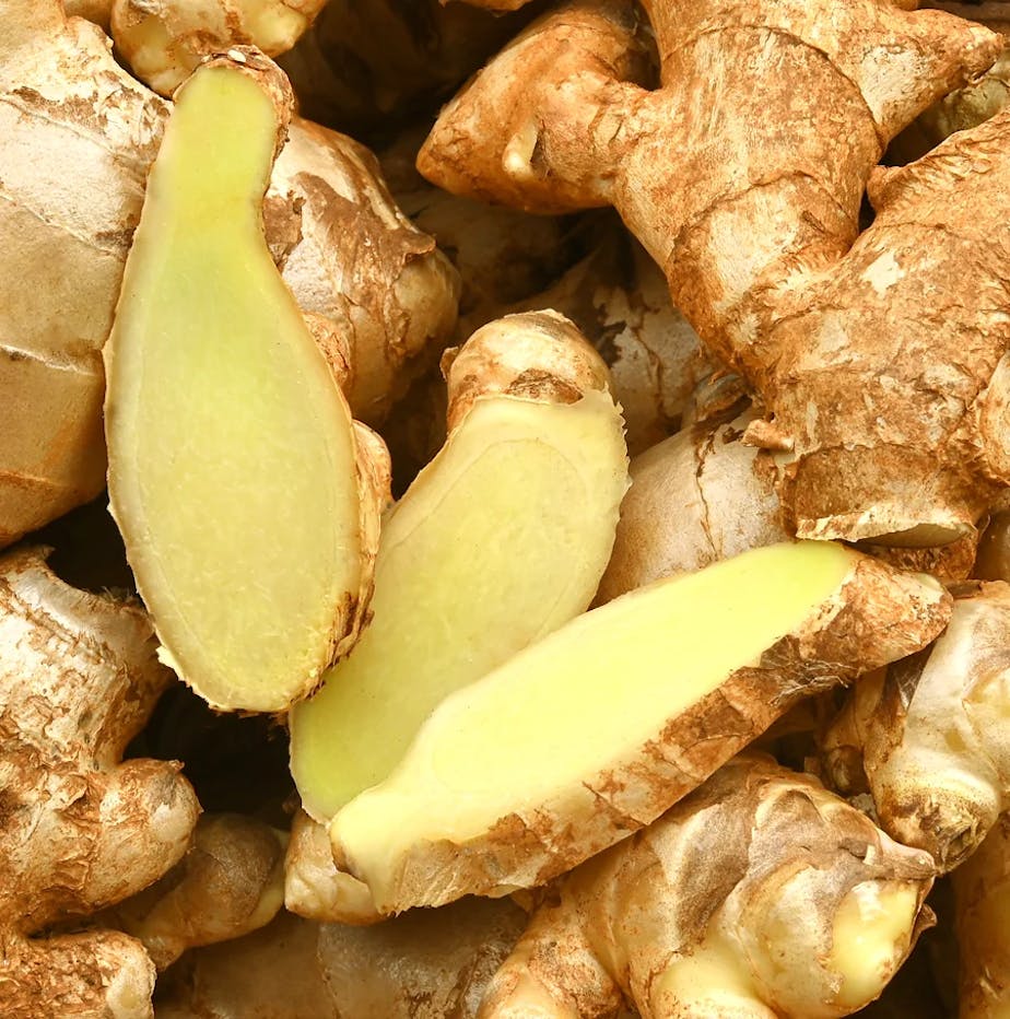 Fresh ginger root